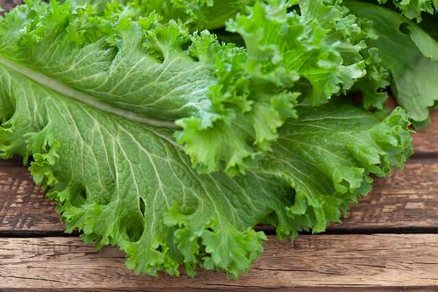 Mustard Greens Substitutes